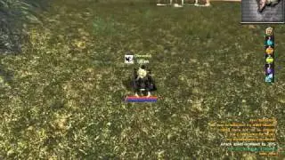 leilljah lvl up part 2