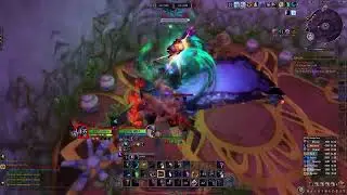 Ferocity 1 - A DF Feral Druid PvP Montage Series
