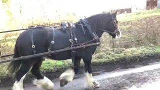 George at work