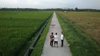 Aerial video of agricultural drone