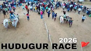 ||11-01-2026 Hudugur Bulls Race|Only Hallikar Bulls Race|Biggest Hallikar bulls Race for Andra ||