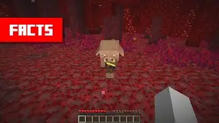 Never GIVE Baby Piglins Gold Ingots