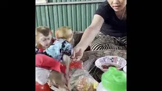 Help mom cook #monkey #baby #usa #cute #animal #love #monkeylove #monkeyaround