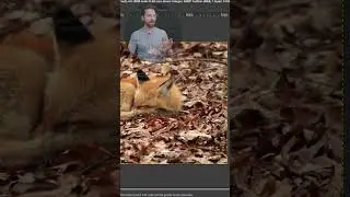 GIMP Non-Destructive Editing First Look (GIMP 2.99.18 Update)