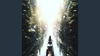Wild Forest Walks of the Dawn