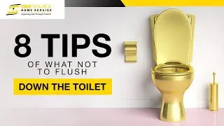Don't Flush it!