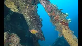 Dive USAT Liberty wreck, Tulamben, Bali, Indonesia 201125 1