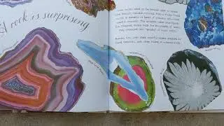 A Rock is Lively Read by Mr. Frank