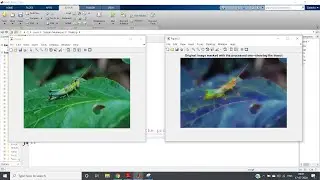 Color Morphology | Digital Image Processing | MATLAB