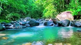 Mountain Stream Continuous Flow, Forest River Sounds, Sleeping