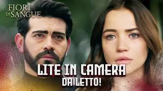 Tu Sei la Moglie di Dilan Karabey! | Sottotitolato in italiano | Kan Cicekleri