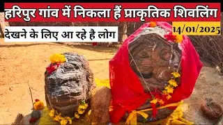 A natural Shivling has been found in Haripur village. Shivling has been found in Haripur village.