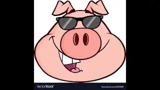 Pig racing and more