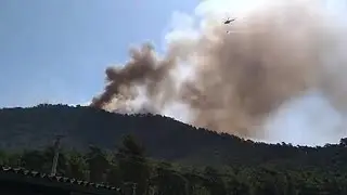 Wildfires Raging Across Marmaris, Turkey Approach an Animal Shelter || WooGlobe