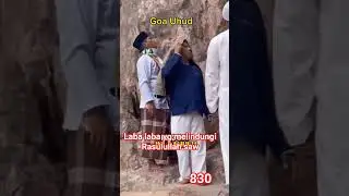 labalaba yg melindungi Rasulullah