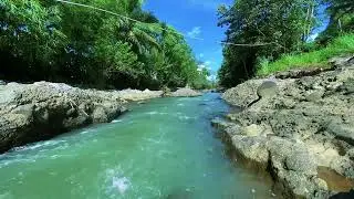 💧 Gentle Water Flow to Clear Your Mind 💦 Refreshing River Sounds for Sleeping