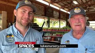 Lukas Nursery Coming Soon to Designing Spaces Local Edition