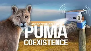 How Blink+A Works: The Science Behind Wildlife Deterrence