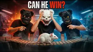 Can Mice Solve This Impossible challenge?