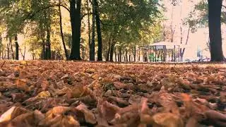 Tisza&uacute;jv&aacute;ros Sz&iacute;v&eacute;ben #3