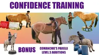 CONFIDENCE TRAINING WITH MY FJORD HORSE JJ (Bonus - Comanchie's Parelli level 3 auditions)