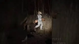 The Goat Monsters took the dogs for a walk