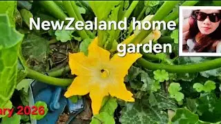 Update home garden# January 2026. Take 1