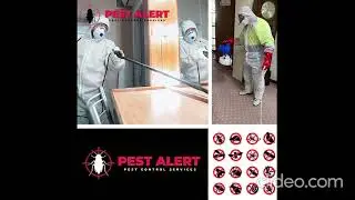 Cockroaches Control in Melbourne | Melbourne Cockroaches Control |