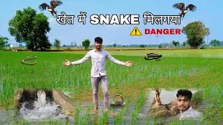 Found a snake in the field 😱#viralvideos#viralvlogs#snakevideos#anishcturalvlogs