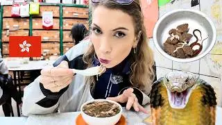 Trying Street Food in HONG KONG | Snake Eating! 🇭🇰🍜🐍