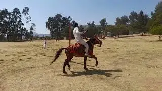 ካብ ፀጋታት  ጋንታ ኣፈሹም ክላስተር ጓሕጎት 