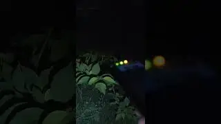 Catching a demon on EMF