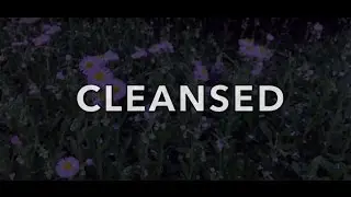 CLEANSED - Lyric Video (Harry McCarthy)