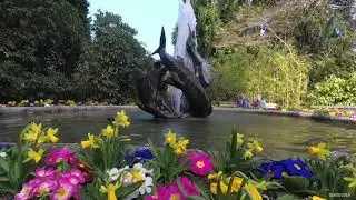 Victoria Canada ..... Butchart Garden (Sturgeon fountain)