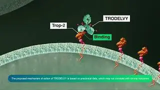 TRODELVY MOA VIDEO