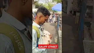 31 March 2025 Galiff Street Pet Market। Dog Market #shorts #Dog #petmarket #galiffstreet