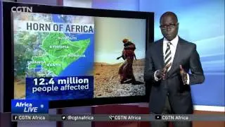 UN warning of the worst drought in Africa in 60 years