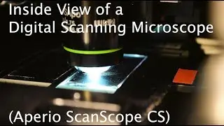 Whole Slide Scanning Microscopy (Aperio ScanScope)