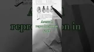 NEET biology mcq| Asexual reproduction|Budding in yeast|class 12.