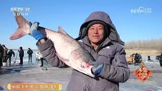 《共富经》 20260131 冰河“丰”潮 | 农业致富经 Agriculture And Farming