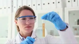 PNEC in Ecotoxicological Risk Assessment: A Comprehensive Guide
