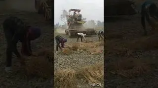 29 February 2024 #new #harvester🌾🚜🚜