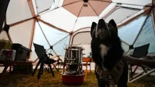 夫婦の犬連れ車中泊キャンプ 変わったクーラーBOX