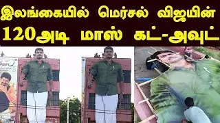 Mersal Fever Started | 120ft Mass CutOut Placed in Srilanka | Thalapathy Vijay