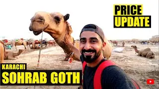 Camel Mandi 2020 karachi Sohrab Goth | Price Update | Part-2