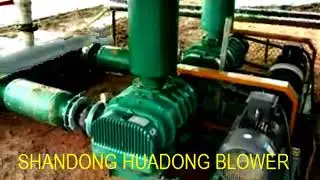 seawater shrimp farming aeration