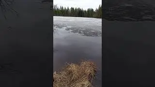 #lake #beach#spring #april#finland#countrylive #ice##mylife#mylove#together #foryou