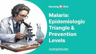 Malaria: Epidemiologic Triangle & Prevention Levels - Essay Example