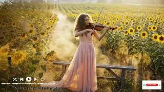 Romántico violín cinematográfico con suave acompañamiento de piano: para relajarse y estudiar