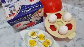 Kitchen Gadget Review : How to Use Egg 🥚  Cooker| boiler |How to boil Eggs